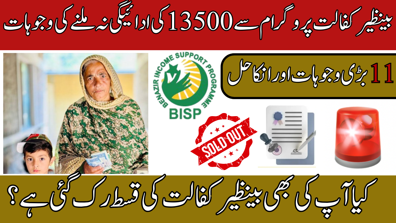 11 Reasons Why Your BISP Payment Stopped