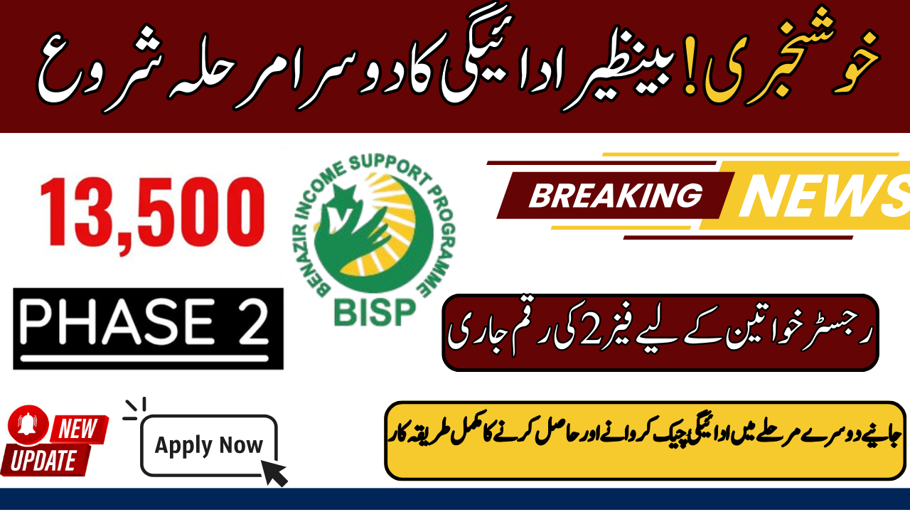 BISP 8171 New Payment
