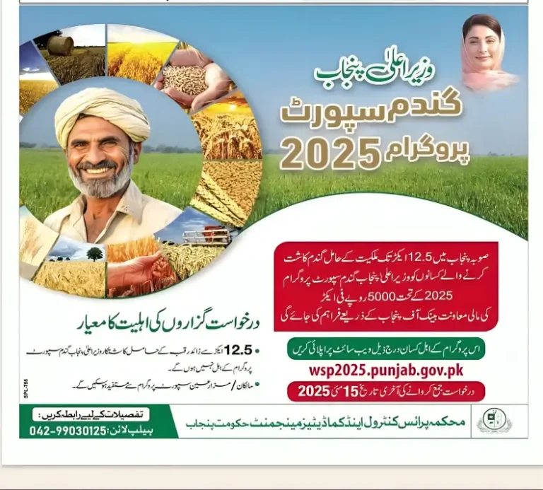 CM-Punjab-Wheat-Support-Program-2025