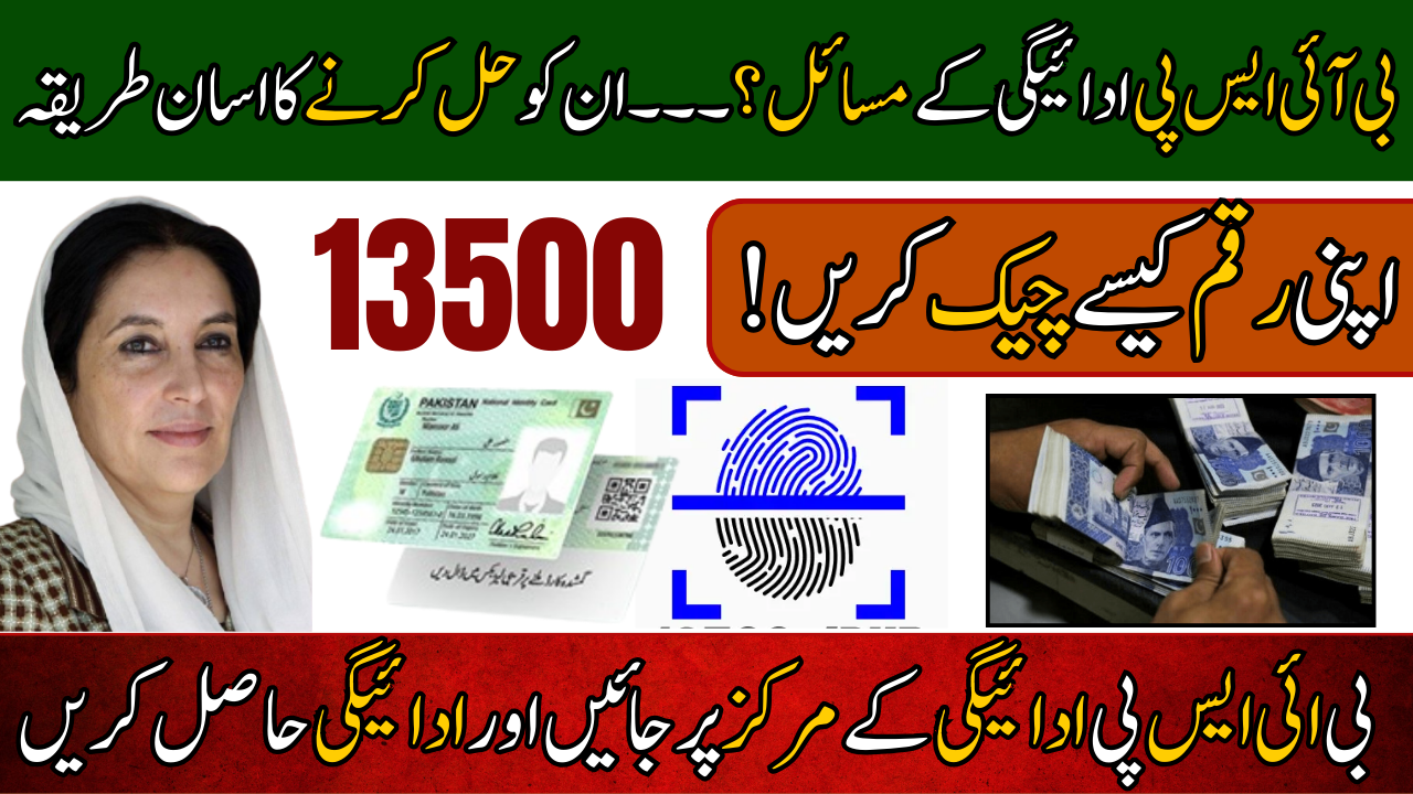 BISP 8171 Payment Problems in 2025? Here’s th