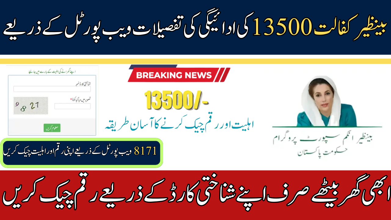 8171 Web Portal 13500 Payment