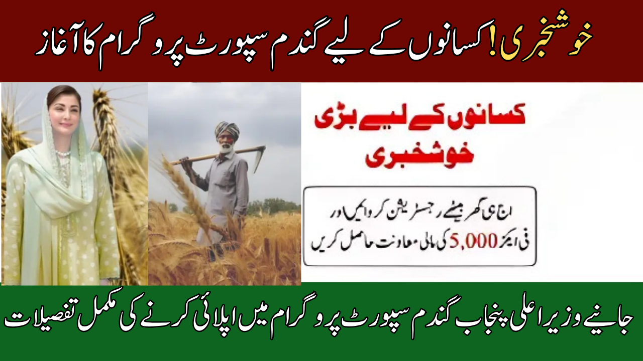 CM Punjab Wheat Support Program