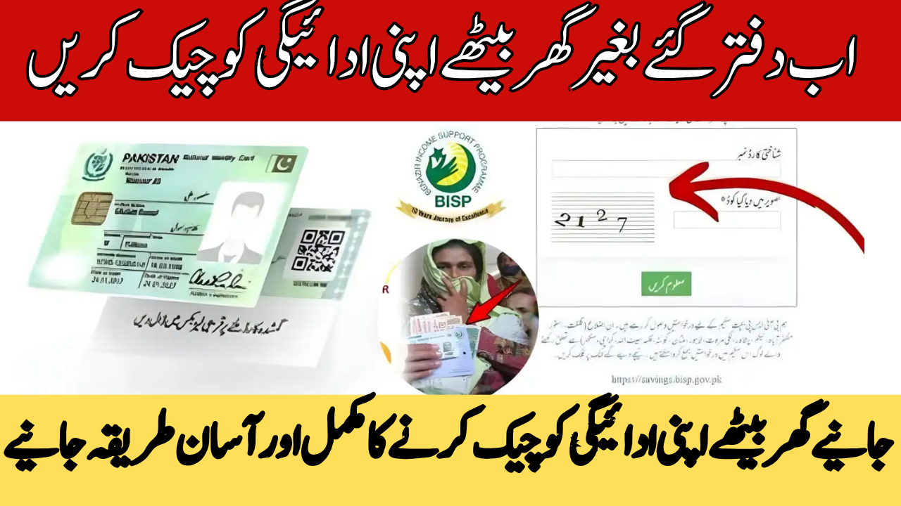 Verify BISP 8171 Payments